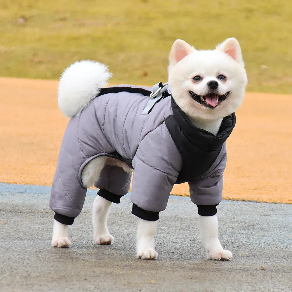 Winter Waterproof Dog Jacket for Small & Medium Dogs | Warm Puppy Coat for Chihuahua, French Bulldog, Pug