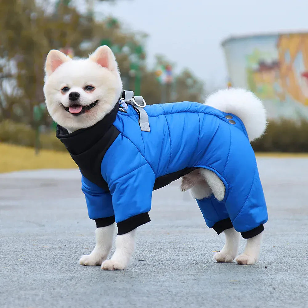 Winter Waterproof Dog Jacket for Small & Medium Dogs | Warm Puppy Coat for Chihuahua, French Bulldog, Pug