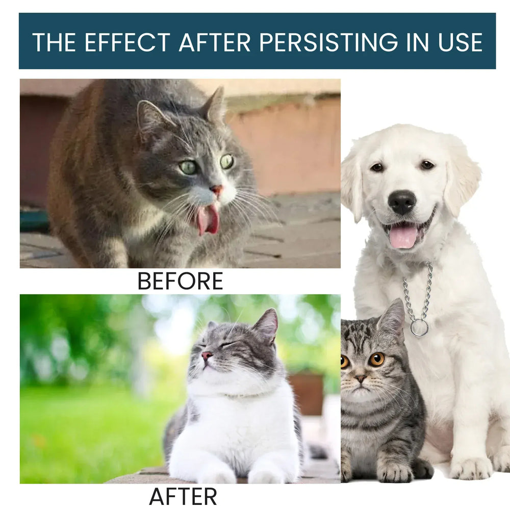 Yegbong Pet Health Drops - 50ml Multi-Vitamin Liquid for Cats & Dogs, Immune Support & Anxiety Relief Supplement for Puppies & Kittens