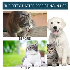 Yegbong Pet Health Drops - 50ml Multi-Vitamin Liquid for Cats & Dogs, Immune Support & Anxiety Relief Supplement for Puppies & Kittens