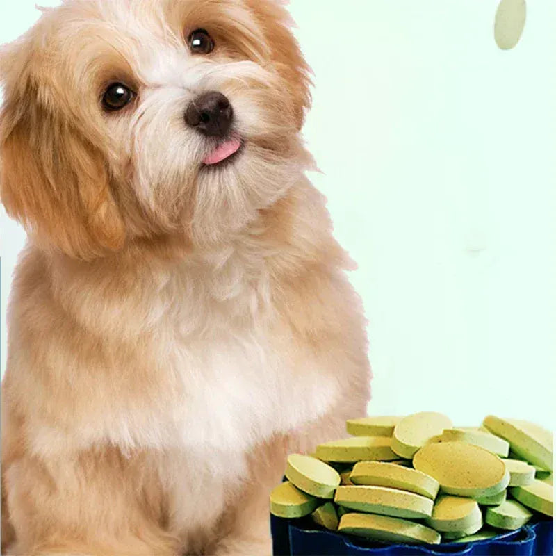 180 Tablets Pet Multivitamin - Hair Beauty & Immunity Supplement for Dogs & Cats, Balanced Nutrition for All Life Stages