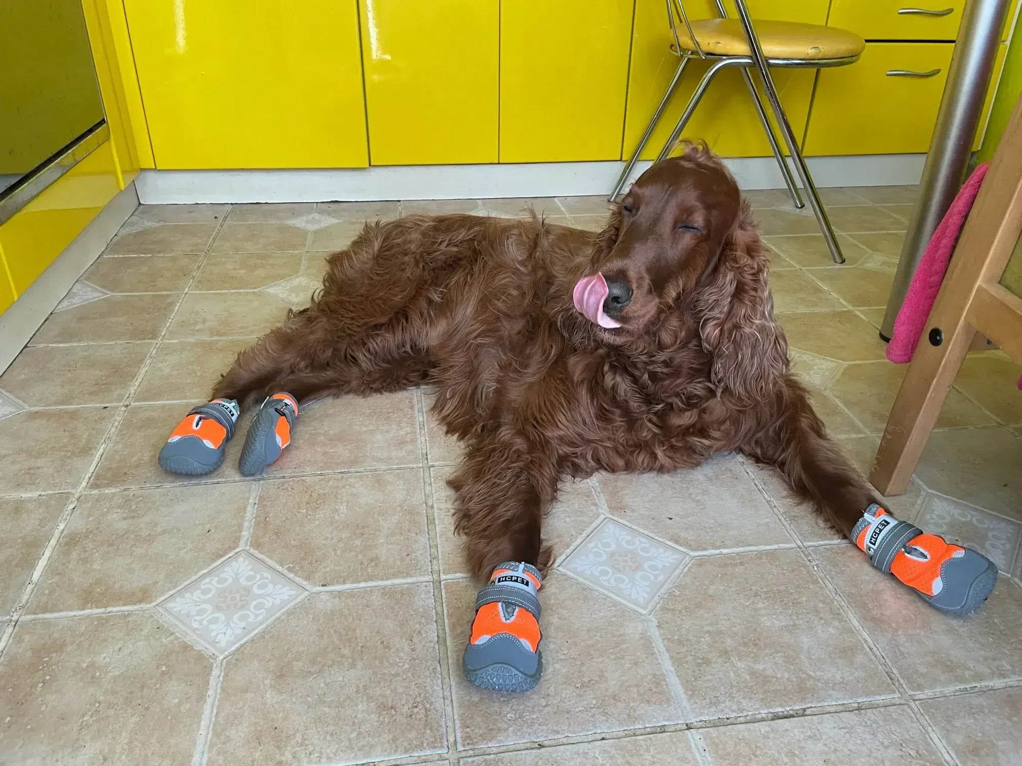 4-Pack Dog Boots - Waterproof Reflective Shoes for Medium Large Dogs