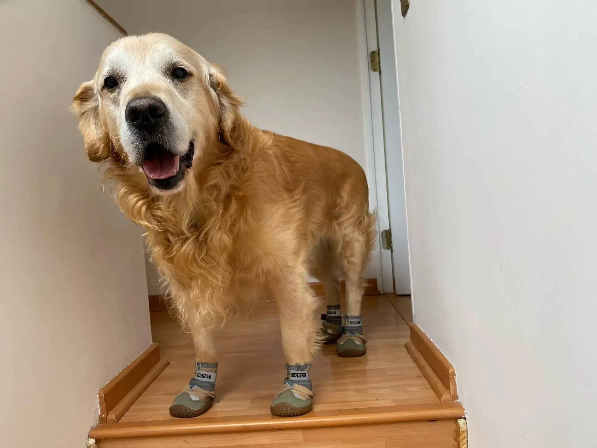 4-Pack Dog Boots - Waterproof Reflective Shoes for Medium Large Dogs