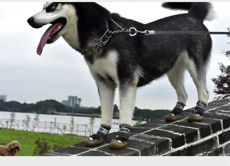 4-Pack Dog Boots - Waterproof Reflective Shoes for Medium Large Dogs