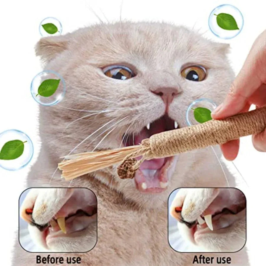4 Pack Natural Silvervine Sticks for Cats – Chew Toys for Teeth Cleaning & Teething Kittens