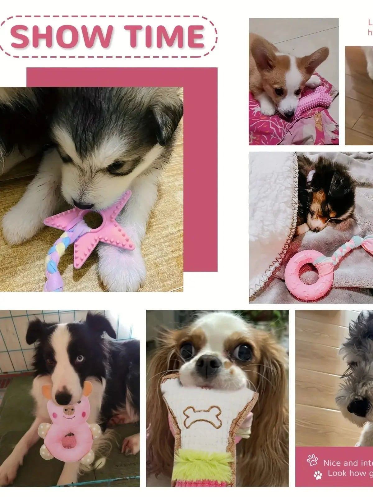 6-Piece Puppy Chew Toy Set - Interactive Dental Teething Toys for Small Dogs