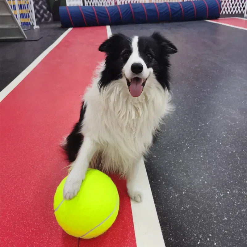7/8/9.5Inch Dog Tennis Ball Giant Pet Toys for Dog Chewing Toy Signature Mega Jumbo Kids Ball Training Supplies Dropship Plush