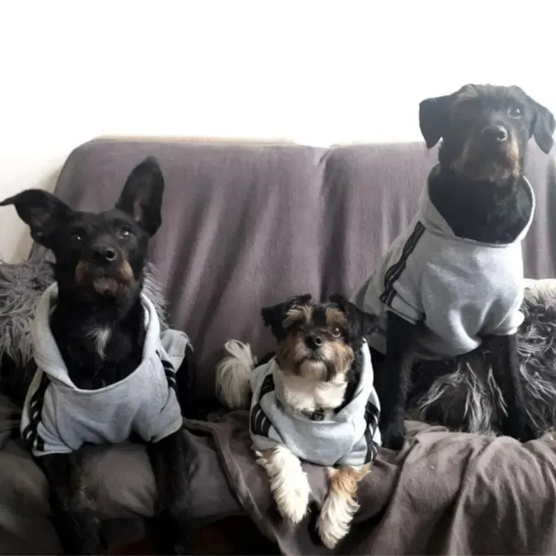 Adidog Brand Hoodie - Athletic Style Winter Coat for Medium & Large Dogs