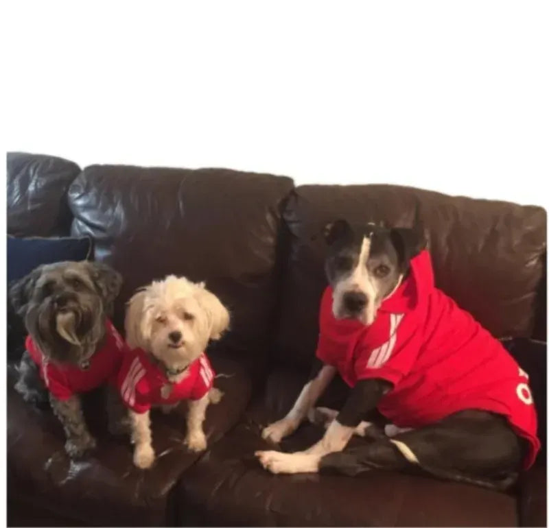 Adidog Brand Hoodie - Athletic Style Winter Coat for Medium & Large Dogs