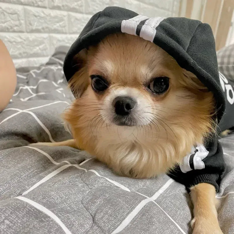 Adidog Brand Hoodie - Athletic Style Winter Coat for Medium & Large Dogs