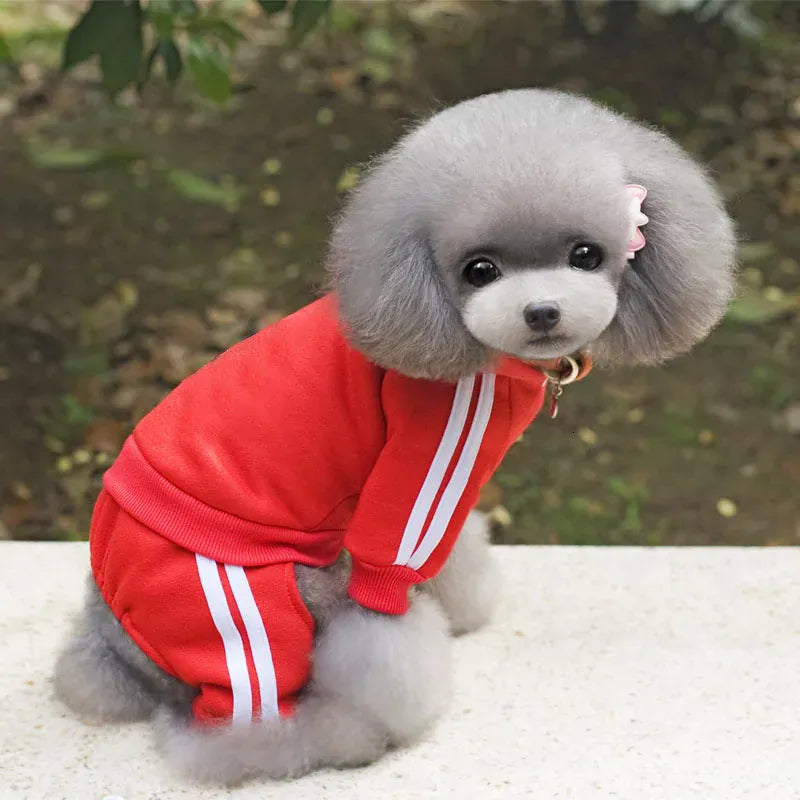 Adidog Winter Dog Jumpsuit | Thick Puppy Tracksuit for Small Dogs | Warm Pet Overalls & Hooded Outfit for Yorkie, Chihuahua & Pug