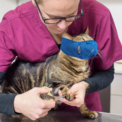 Adjustable Cat Muzzle & Eye Mask - Breathable Mesh Grooming Mask for Kittens, Calming Soothing Hood for Nail Trimming & Care