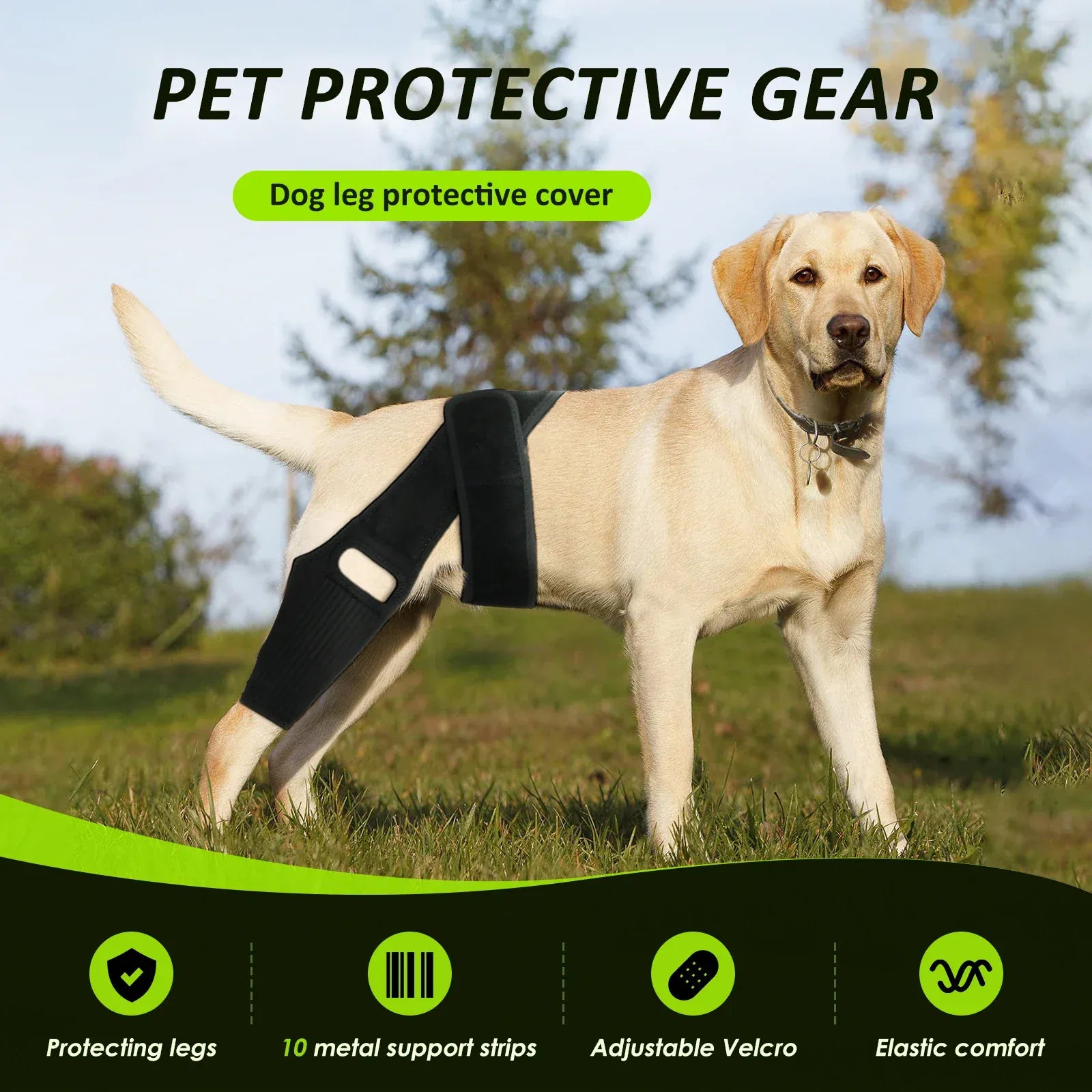 Adjustable Dog Knee Brace - Hip & Leg Support with Metal Bars for Luxating Patella, Post-Surgery Recovery & Joint Pain Relief