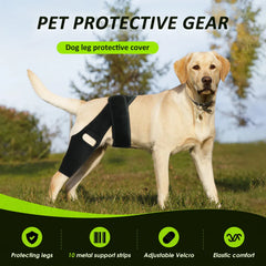 Adjustable Dog Knee Brace - Hip & Leg Support with Metal Bars for Luxating Patella, Post-Surgery Recovery & Joint Pain Relief