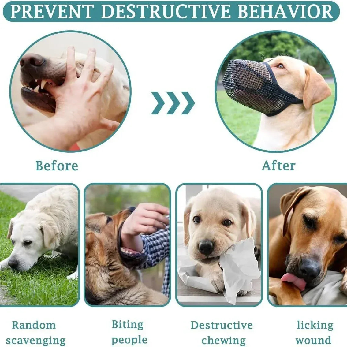 Adjustable Dog Mouth Cover | Anti-Licking & Anti-Biting Pet Muzzle | Breathable Dog Mouthpiece for Drinking