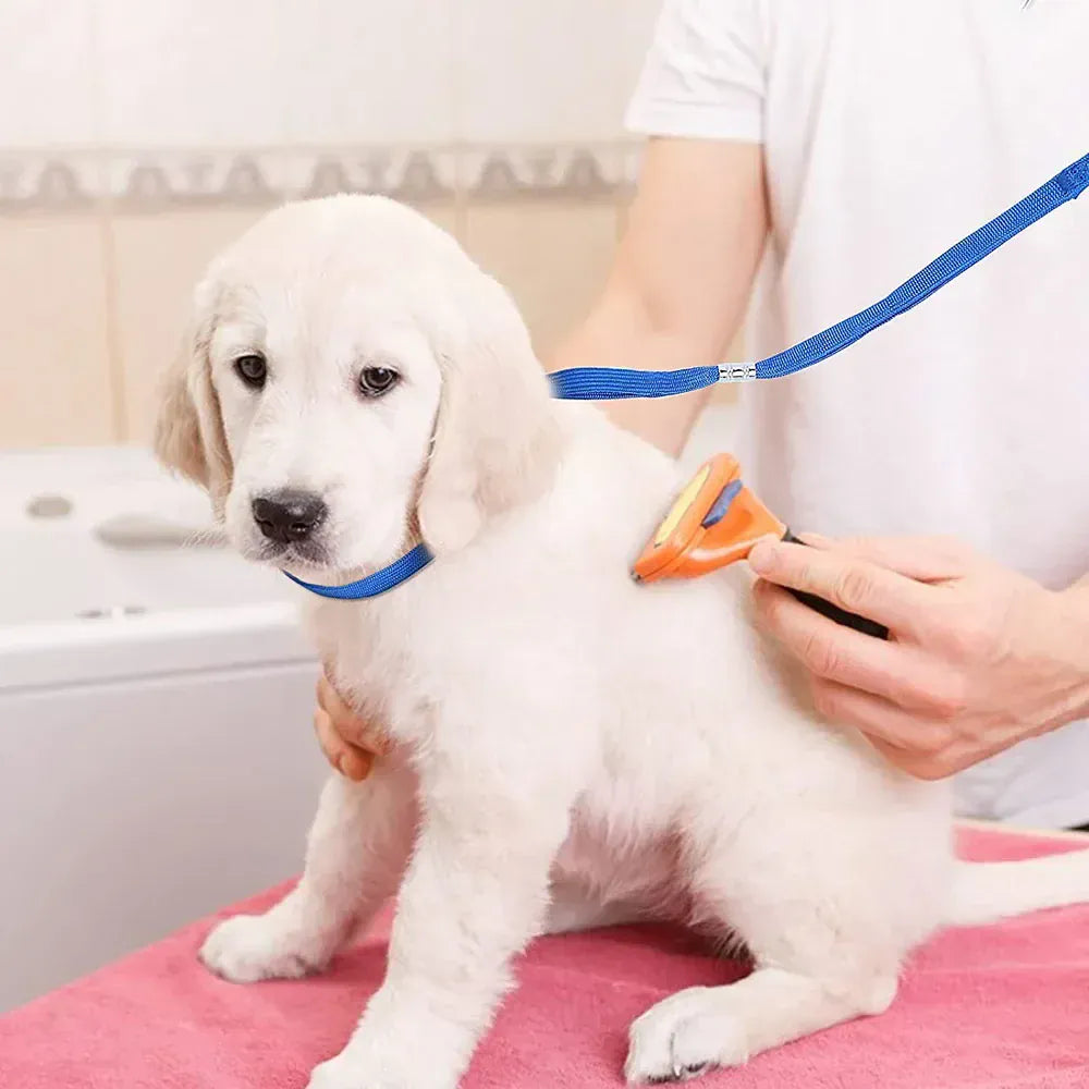 Adjustable Pet Grooming Leash - Safety Restraint Lead for Dog Cat Grooming Table