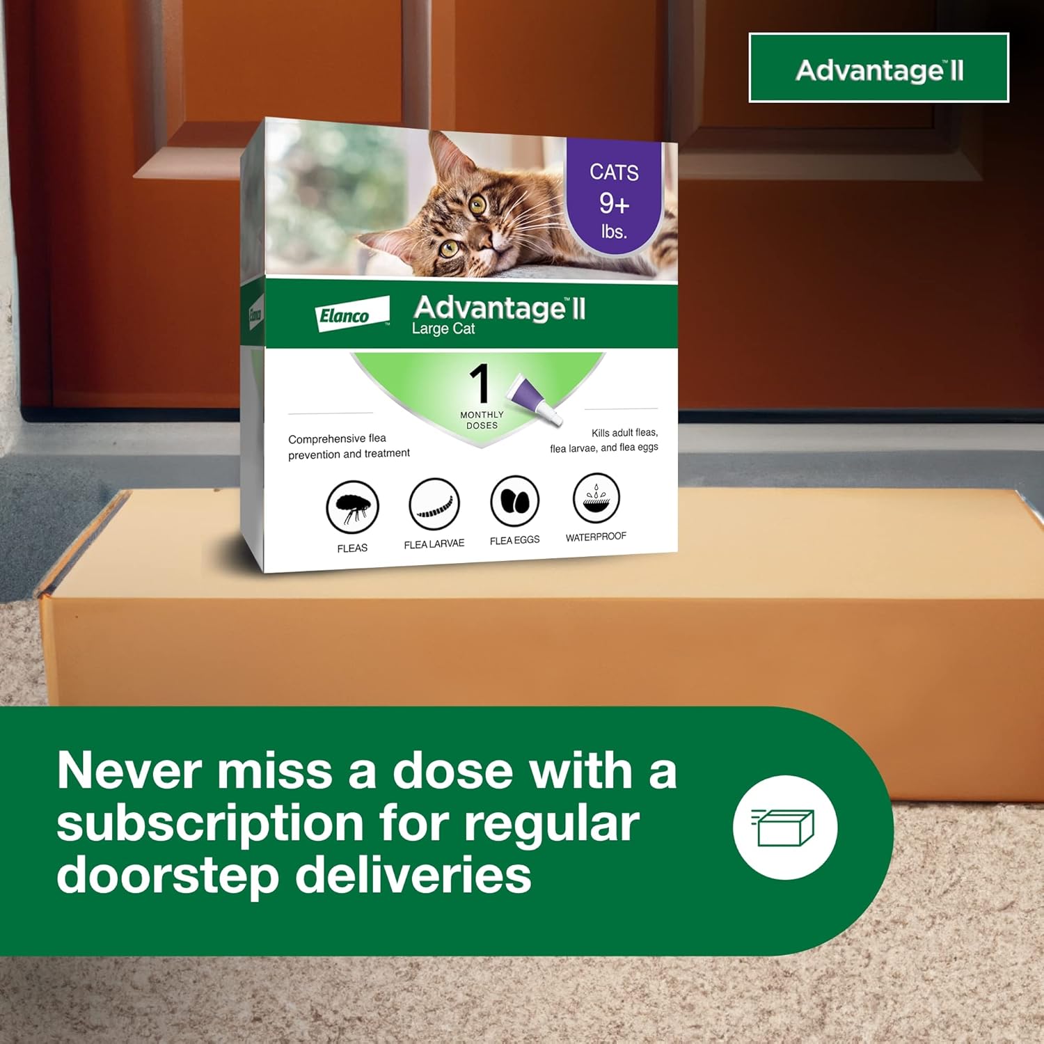Advantage II Flea Treatment for Cats | Fast-Acting Flea Protection | Large Cats Over 9 lbs | 6 Month Supply