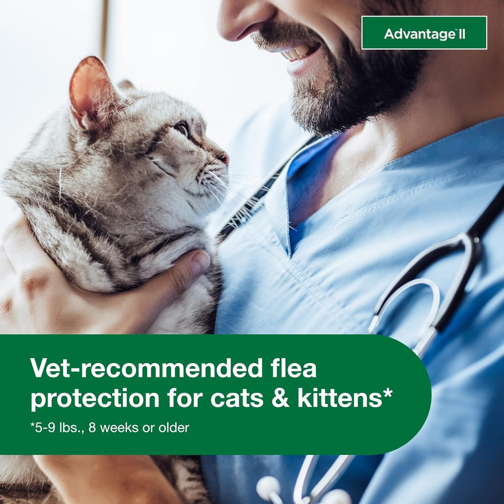 Advantage II Small Cat – Vet-Recommended Flea Treatment & Prevention for Cats 5-9 lbs, 6-Month Supply