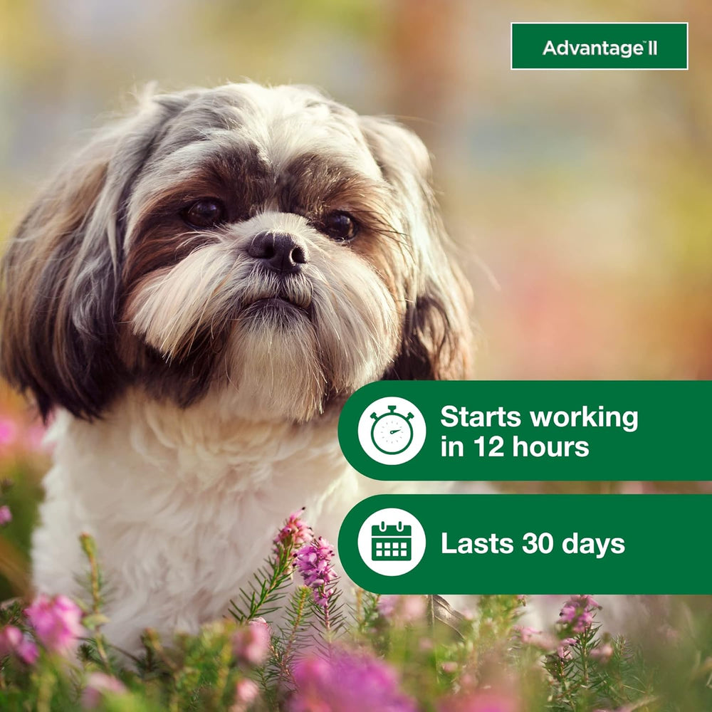 Advantage II Small Dog – Vet-Recommended Flea Treatment & Prevention for Dogs 3-10 lbs, 4-Month Supply