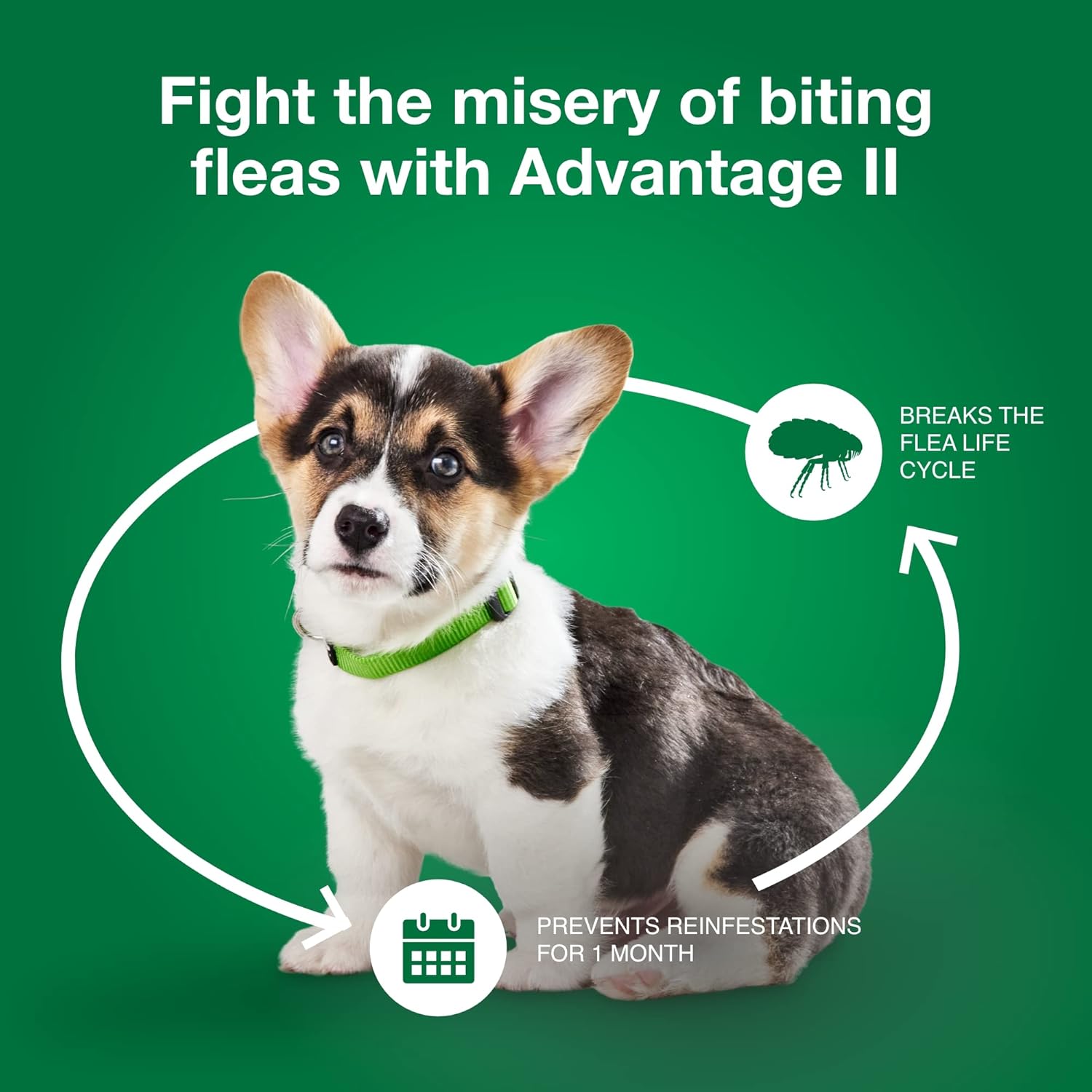Advantage II Small Dog – Vet-Recommended Flea Treatment & Prevention for Dogs 3-10 lbs, 4-Month Supply