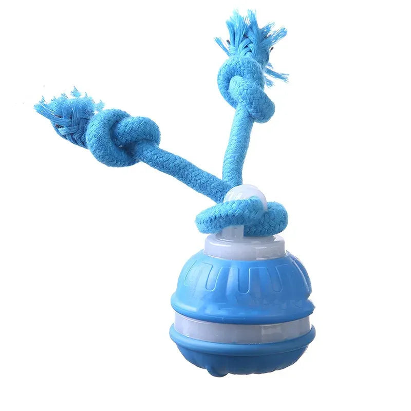 Automatic Rolling Ball for Dogs – Motion Activated USB Rechargeable Interactive Toy