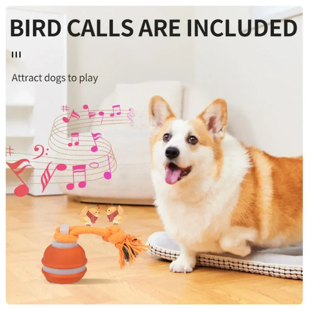 Automatic Rolling Ball for Dogs – Motion Activated USB Rechargeable Interactive Toy