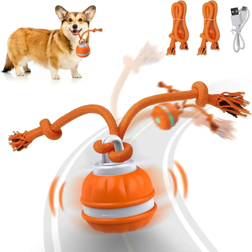 Automatic Rolling Ball for Dogs – Motion Activated USB Rechargeable Interactive Toy