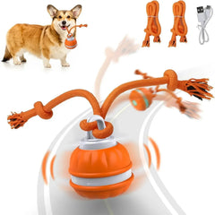 Automatic Rolling Ball for Dogs – Motion Activated USB Rechargeable Interactive Toy