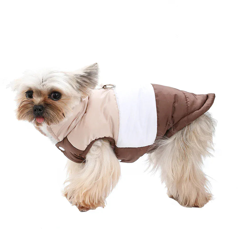 Autumn Winter Cat Clothes | Soft Warm Vest Jacket with D-Ring for Small Cats & Dogs | British Shorthair & Sphynx Pet Outfits