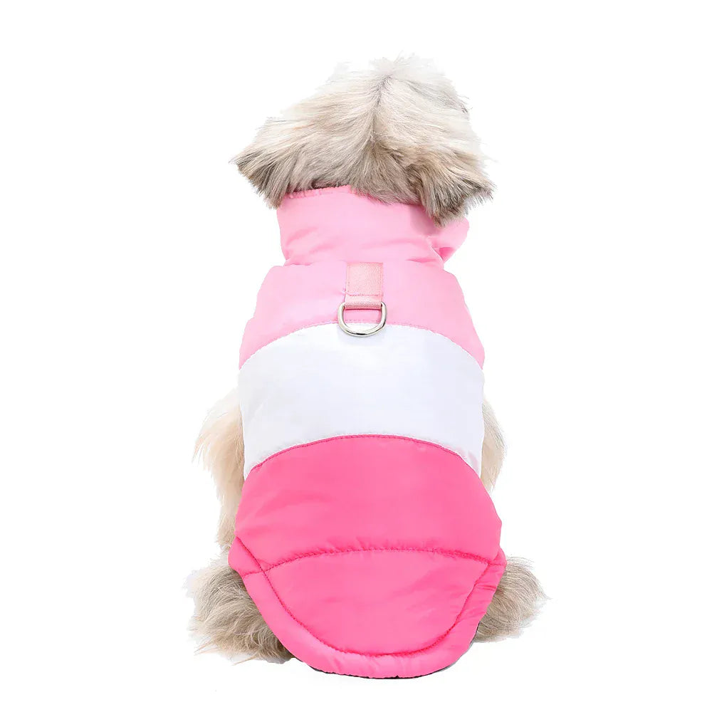 Autumn Winter Cat Clothes | Soft Warm Vest Jacket with D-Ring for Small Cats & Dogs | British Shorthair & Sphynx Pet Outfits