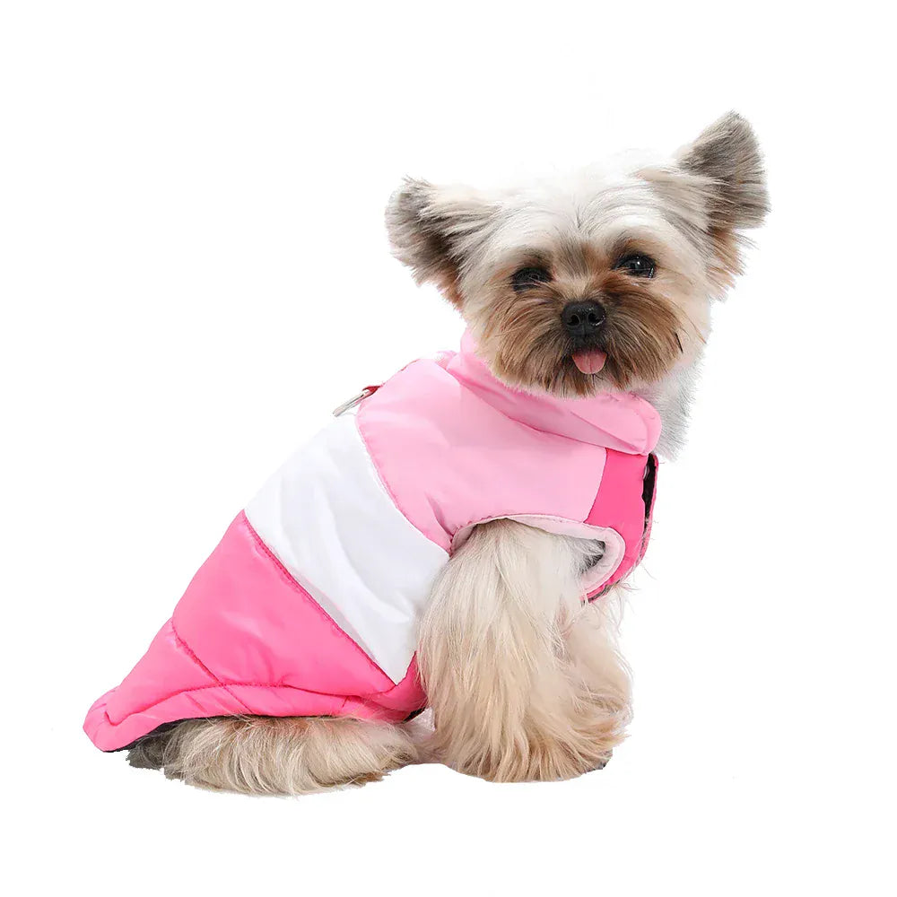 Autumn Winter Cat Clothes | Soft Warm Vest Jacket with D-Ring for Small Cats & Dogs | British Shorthair & Sphynx Pet Outfits