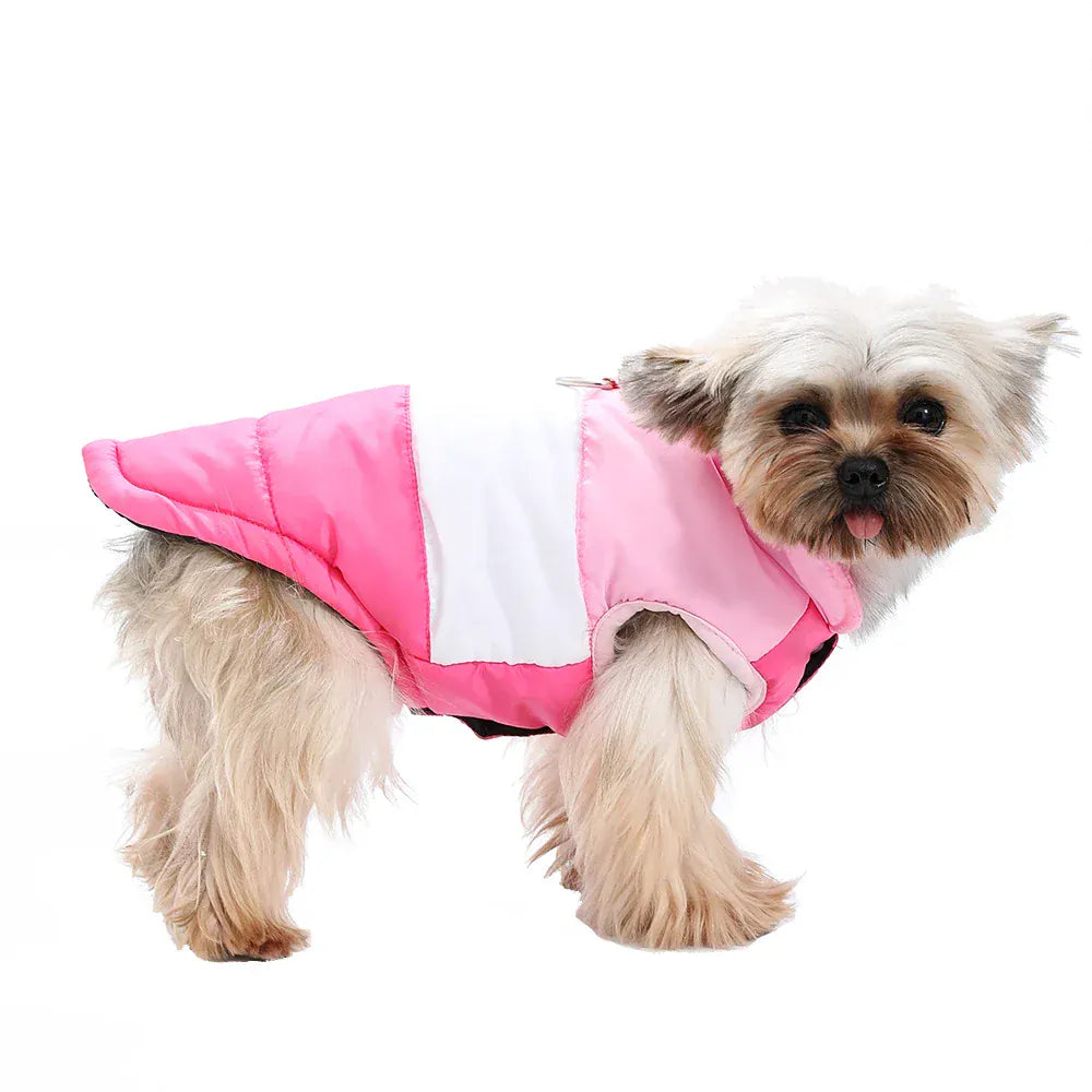 Autumn Winter Cat Clothes | Soft Warm Vest Jacket with D-Ring for Small Cats & Dogs | British Shorthair & Sphynx Pet Outfits