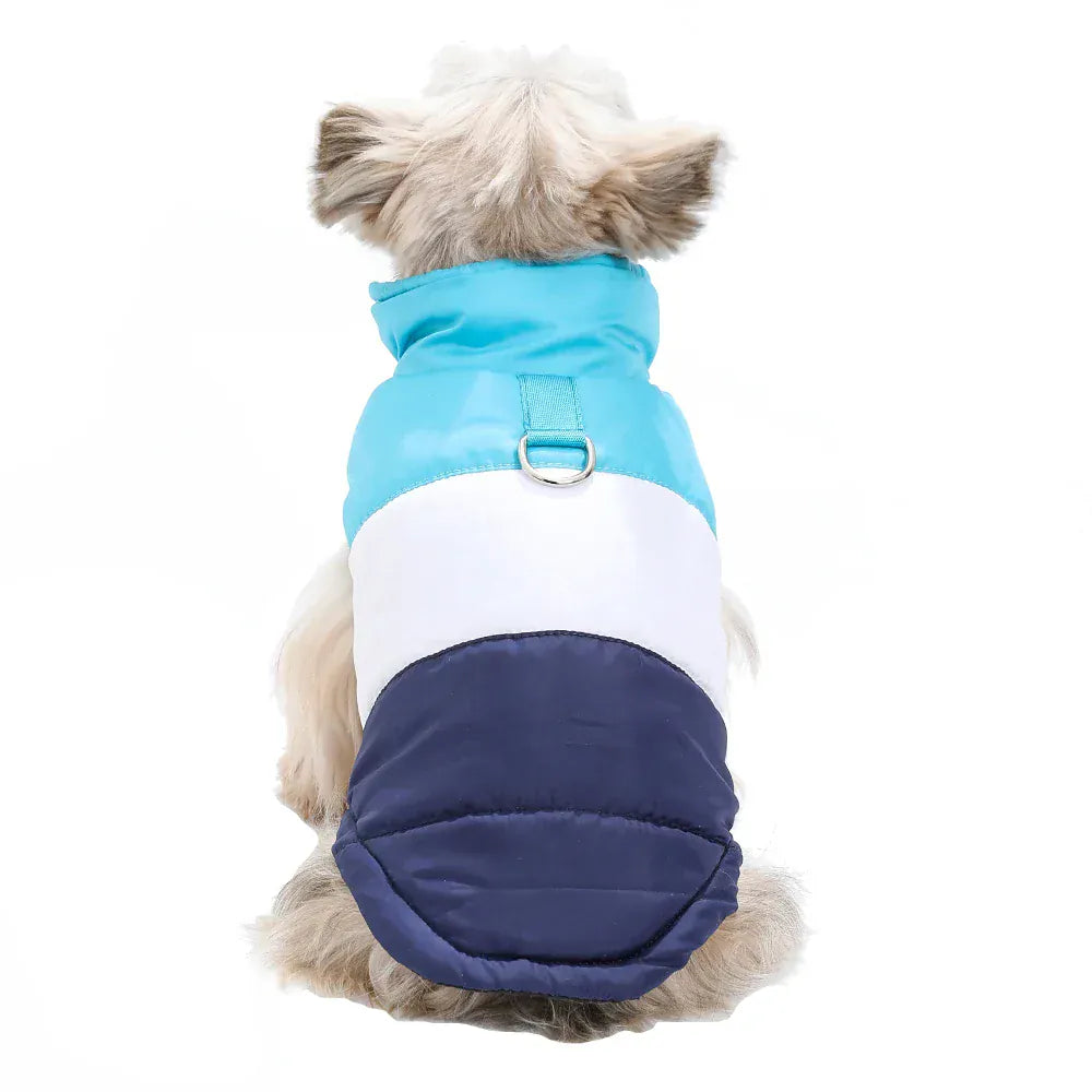 Autumn Winter Cat Clothes | Soft Warm Vest Jacket with D-Ring for Small Cats & Dogs | British Shorthair & Sphynx Pet Outfits
