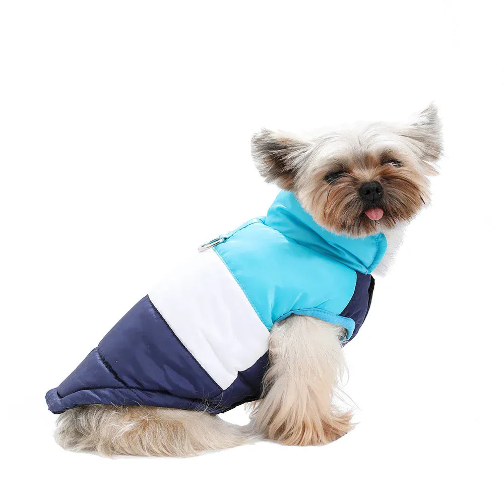 Autumn Winter Cat Clothes | Soft Warm Vest Jacket with D-Ring for Small Cats & Dogs | British Shorthair & Sphynx Pet Outfits