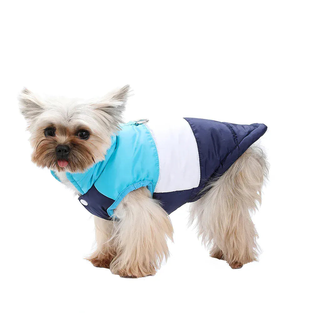 Autumn Winter Cat Clothes | Soft Warm Vest Jacket with D-Ring for Small Cats & Dogs | British Shorthair & Sphynx Pet Outfits