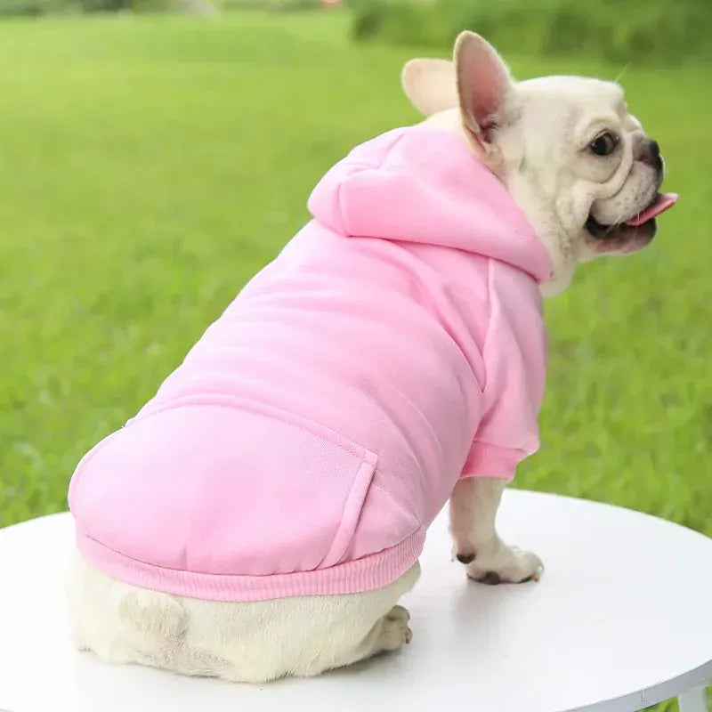 Autumn & Winter Pet Hoodie – Warm Cotton Hooded Sweatshirt for Cats, Kittens & Small Dogs