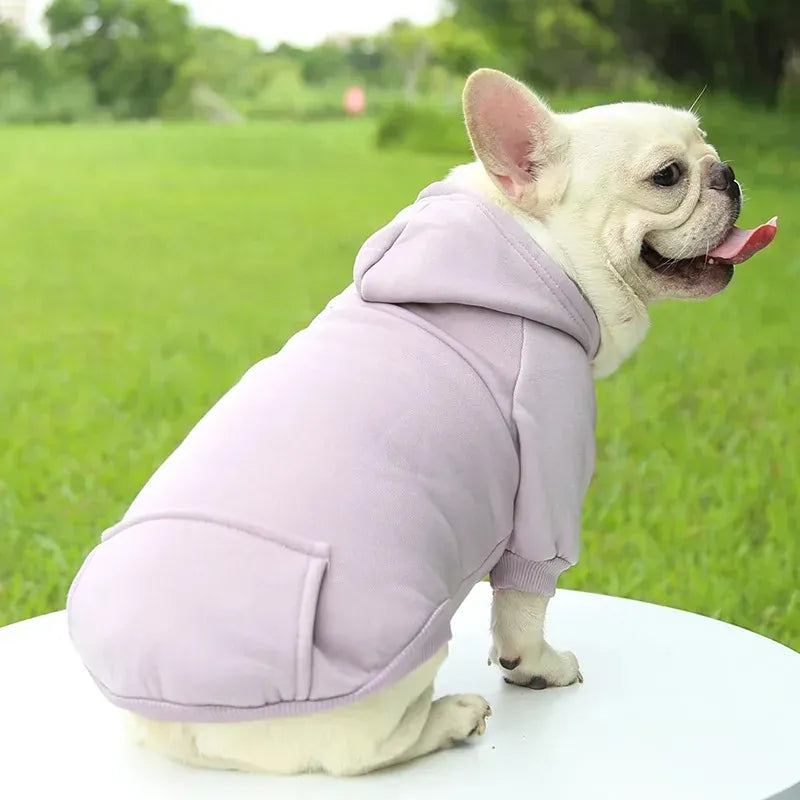 Autumn & Winter Pet Hoodie – Warm Cotton Hooded Sweatshirt for Cats, Kittens & Small Dogs