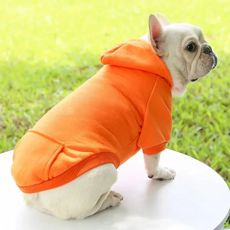 Autumn & Winter Pet Hoodie – Warm Cotton Hooded Sweatshirt for Cats, Kittens & Small Dogs