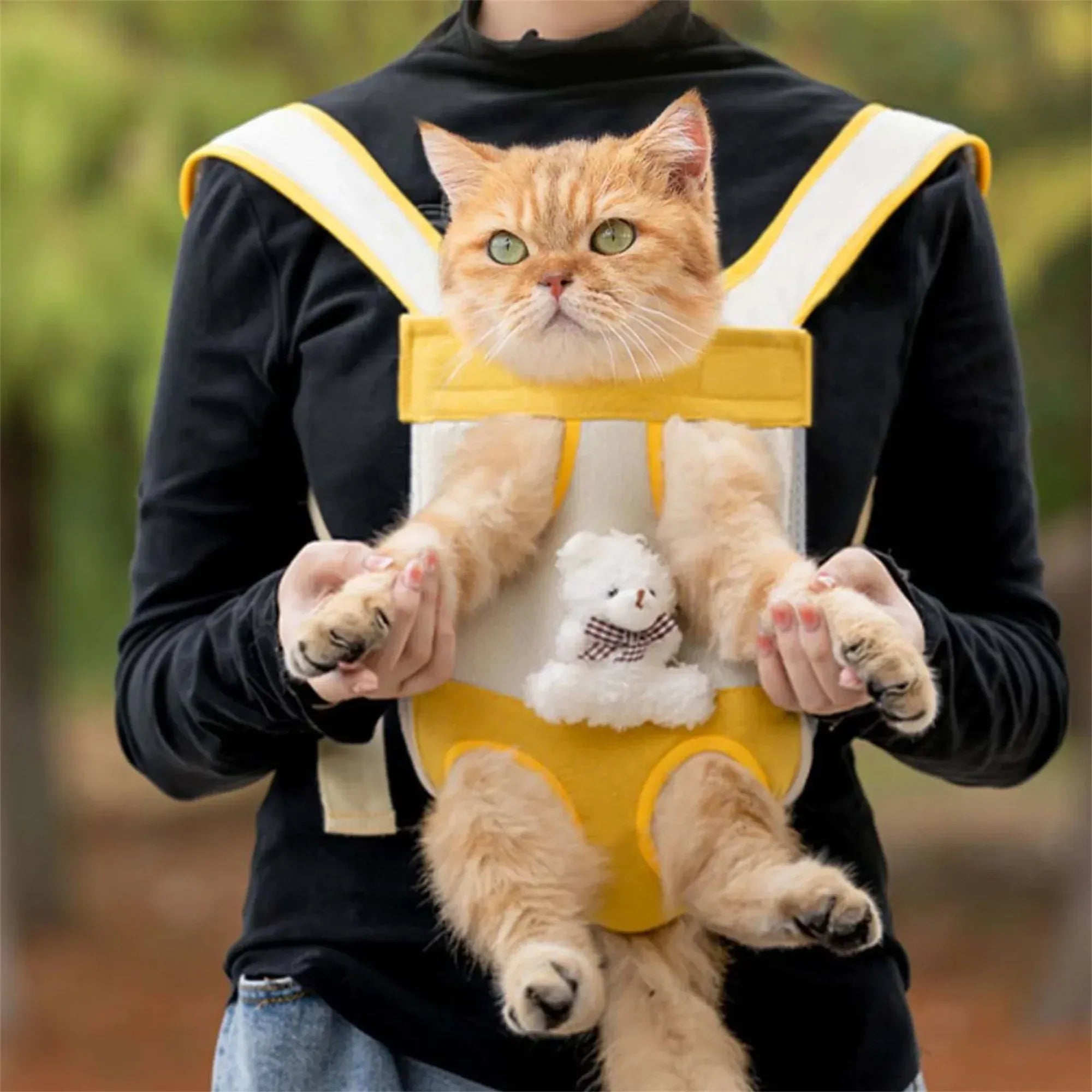 Bear Design Pet Carrier Backpack - Hands-Free Front & Back Cat Carrier with Legs-Out Design, Adjustable Breathable Pet Travel Bag (4 Sizes)