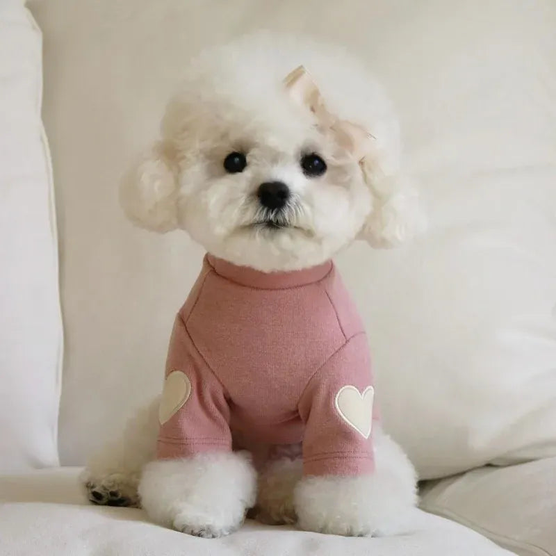 Bear Hoodie Pet Shirt - Cute Base Layer for Cats & Small Dogs