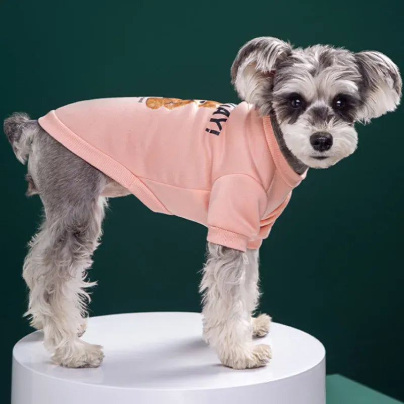 Bear Pattern Dog Sweatshirt | Winter Warm Pet Pullover for Small & Medium Dogs & Cats | Cute Puppy Jacket & Chihuahua Outfit