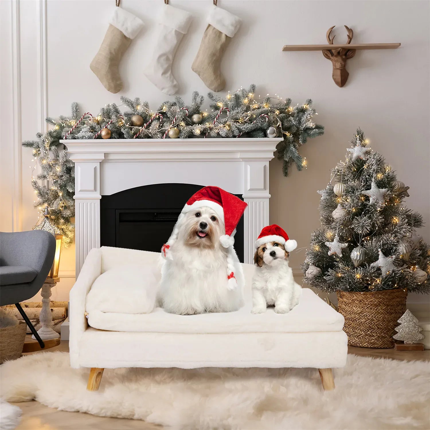 BINGOPAW Nordic Pet Sofa Bed - Elevated Dog & Cat Couch with Wooden Legs, Waterproof & Plush, for Small Pets, Beige