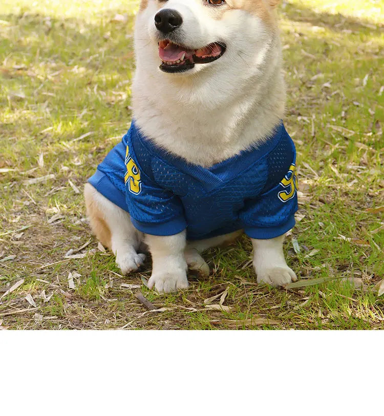 CAIBAN Summer Pet Cooling Vest - Heat Relief for Dogs & Cats