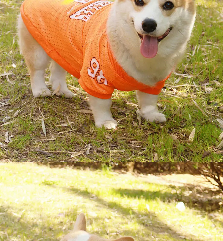 CAIBAN Summer Pet Cooling Vest - Heat Relief for Dogs & Cats