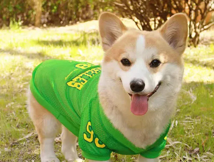 CAIBAN Summer Pet Cooling Vest - Heat Relief for Dogs & Cats