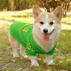 CAIBAN Summer Pet Cooling Vest - Heat Relief for Dogs & Cats