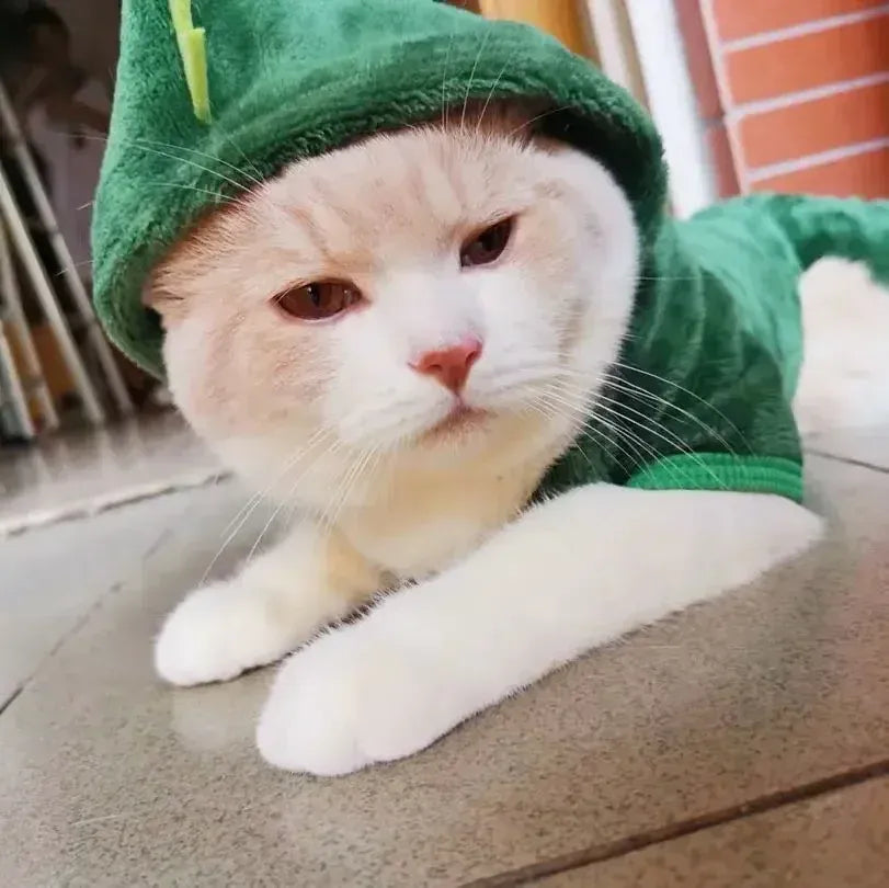 Cartoon Animal Dog & Cat Costume - Winter Warm Jumpsuit Pajamas