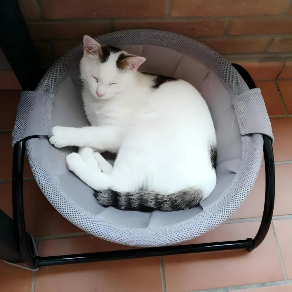 Cat Hammock Bed Stand - Detachable Easy Clean Pet Mat for Small Medium Cats