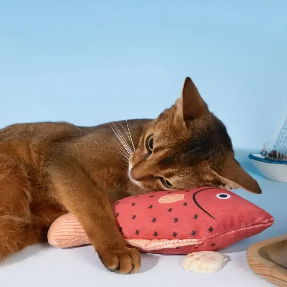 Catnip Fish Toy for Cats – Plush Simulation Fish with Interactive Chew & Pillow Design