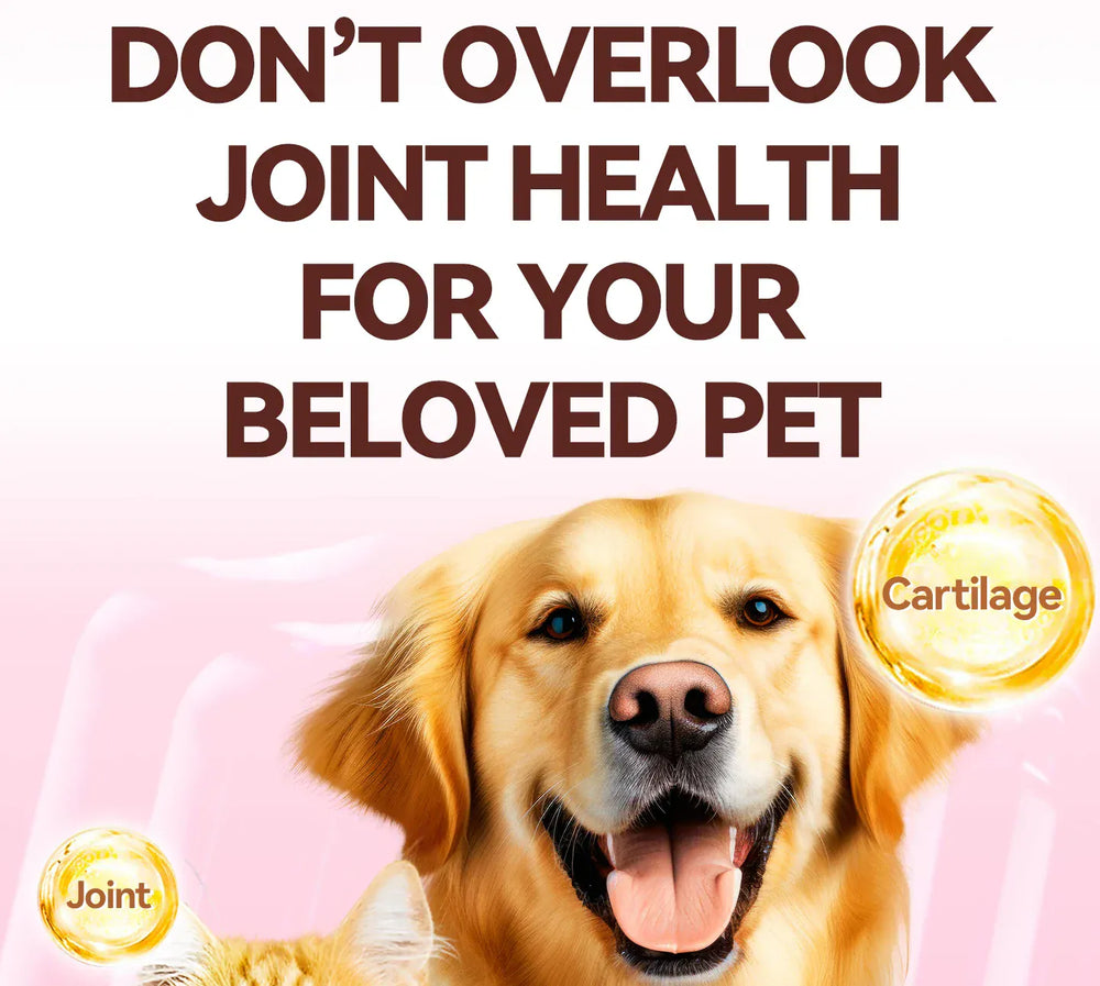 Chanbuni Cat & Dog Calcium Tablets | Joint Support Pet Treats | Nutritious Cat Food Supplement for Strong Bones & Healthy Joints